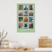 Bomen met Needham 20 x 32-inch Poster (Keuken)