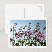 Bomen met onbewerkte bloemen briefkaart (Voorkant / Achterkant)