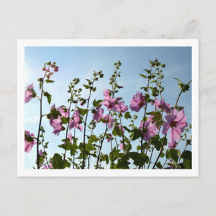 Bomen met onbewerkte bloemen briefkaart