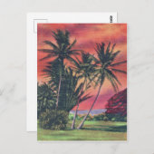 Bomen met platte bomen op het eiland Hawaï, het ou Briefkaart (Voorkant / Achterkant)