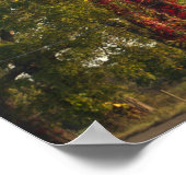 Bomen met Red Ivy Poster (Hoek)