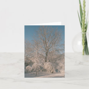 Bomen met Sneeuw Notecards worden geladen die Kaart
