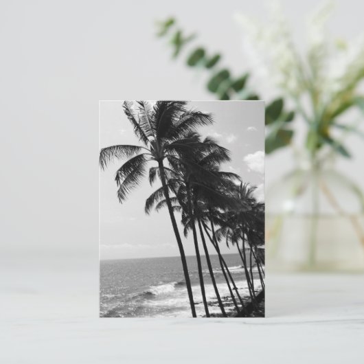 Bomen met zwarte en witte palmen briefkaart (Staand voorkant)