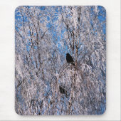 BOMEN MUISMAT (Voorkant)