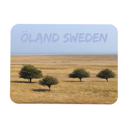 Bomen op de Savannah, Öland, Zweden Magneet (Horizontaal)