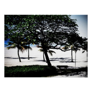 Bomen op het strand, Santos, Brazilië Perfect Poster