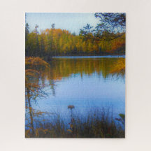 bomen over een meer in de puzzel van de herfst