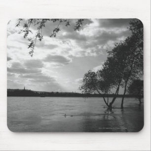 Bomen per meer B&W Muismat
