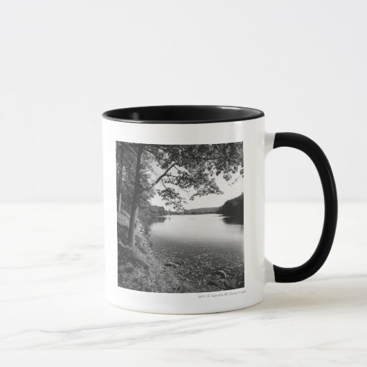Bomen per rivier B&W Mok (Rechts)
