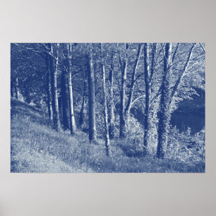 Bomen per rivier - Cyanotype-effect Poster