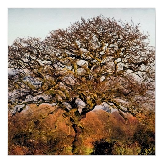 BOMEN PERFECT POSTER (Voorkant)