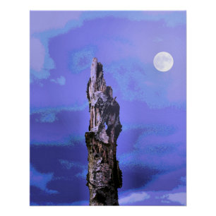 BOMEN PERFECT POSTER