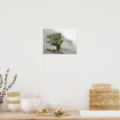 BOMEN POSTER (Keuken)