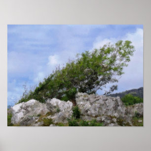 BOMEN POSTER