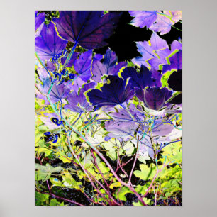 BOMEN POSTER