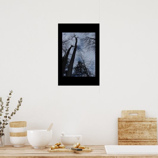 bomen poster (Keuken)