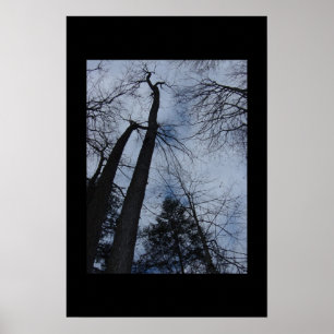 bomen poster