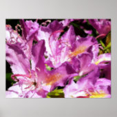 BOMEN POSTER (Voorkant)