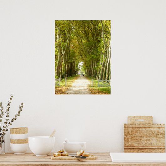 Bomen-Poster Poster (Keuken)