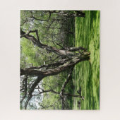 Bomen puzzel (Verticaal)