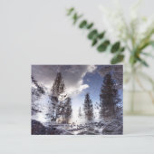 Bomen reflecteren in regenplas water briefkaart (Staand voorkant)