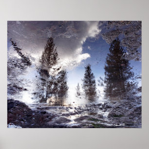 Bomen reflecteren in regenplas water poster