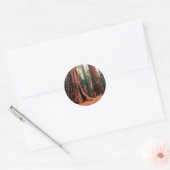 Bomen reuzen Calaveras Ronde Sticker (Envelop)
