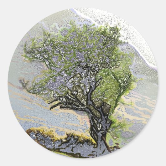 BOMEN RONDE STICKER (Voorkant)
