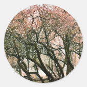 BOMEN RONDE STICKER (Voorkant)