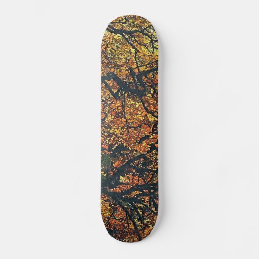 BOMEN SKATEBOARD (Voorkant)