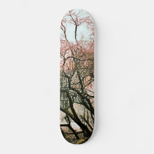 BOMEN SKATEBOARD (Voorkant)