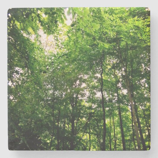 Bomen Stenen Onderzetter (Voorkant)