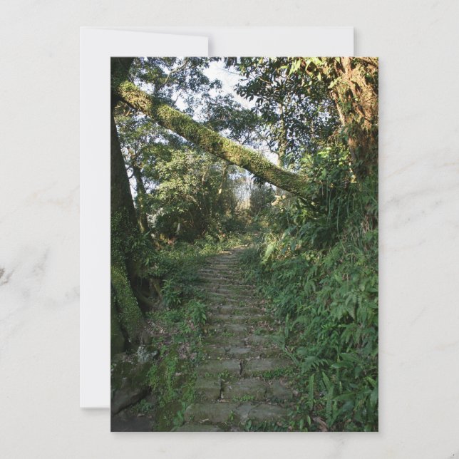 Bomen trappen (Voorkant)