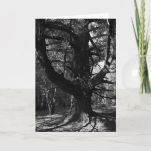 Bomen, UC Kerstman Cruz, 1963 Kaart