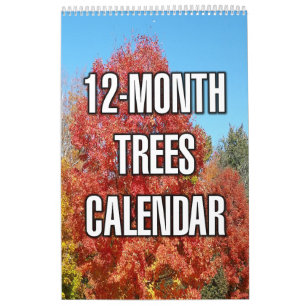 Bomen van 12 maanden kalender
