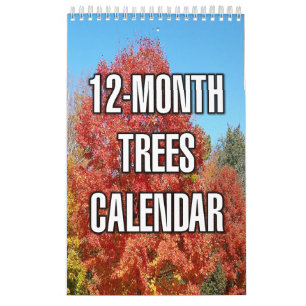 Bomen van 12 maanden kalender