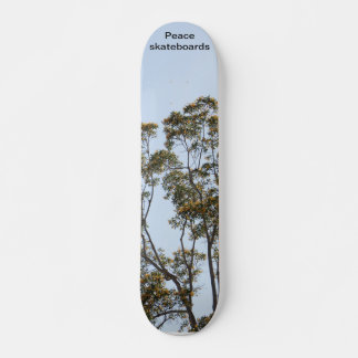 Bomen van groei en leren skateboard