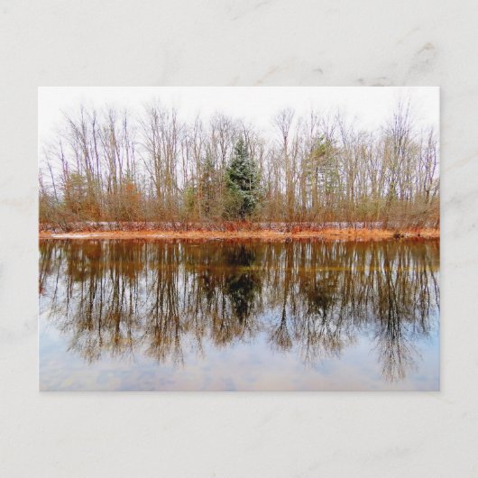 Bomen van het Seizoenpark Ashuelot Briefkaart (Voorkant)