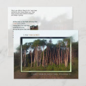 Bomen van het veld briefkaart (Voorkant / Achterkant)