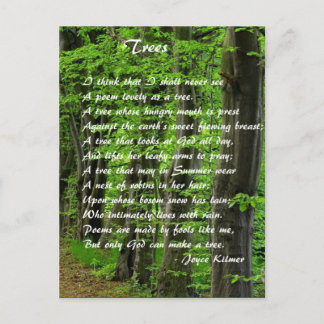 Bomen van: Joyce Klimer Briefkaart
