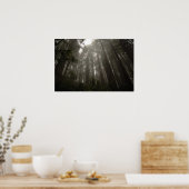 Bomen van Mystery Poster (Keuken)