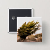 BOMEN VIERKANTE BUTTON 5,1 CM (Voorkant /achterkant)