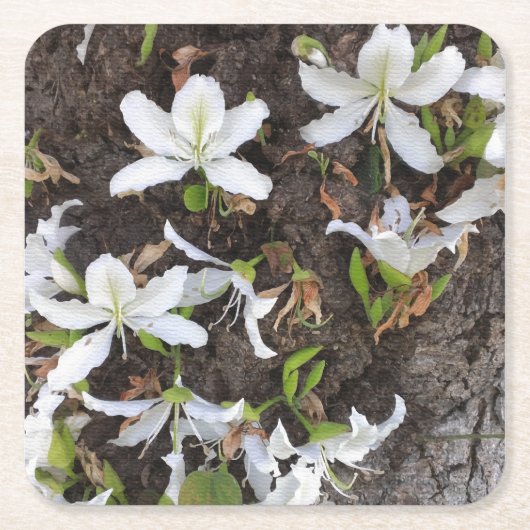 Bomen Vierkante Kartonnen Onderzetter (Voorkant)