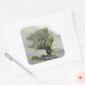 BOMEN VIERKANTE STICKER (Envelop)