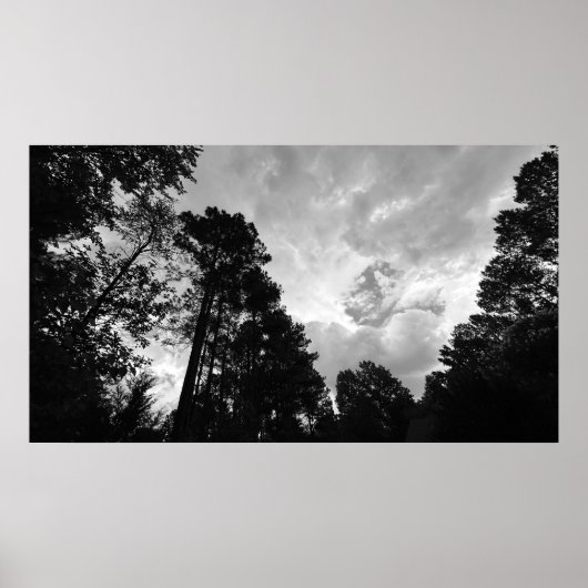Bomen & Wolken, Poster (Voorkant)