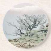 BOMEN ZANDSTEEN ONDERZETTER (Voorkant)