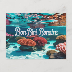Bon bini bonaire ansichtkaart feestdagenkaart