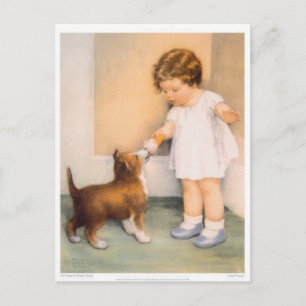 Bon Garçon !  Carte postale Collie Bordure