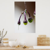 Bon Pour La Poster Dernière Drip (Cuisine)