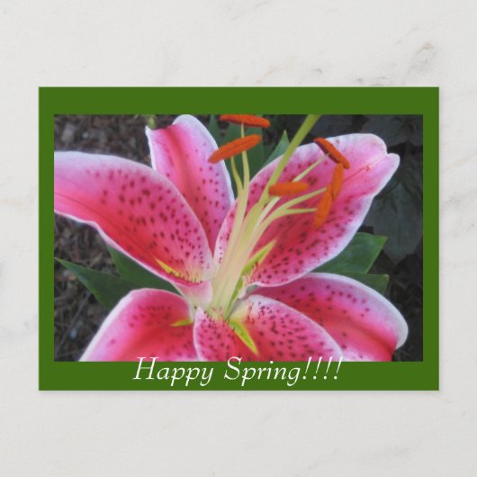 Bon Printemps ! ! Carte postale (Devant)